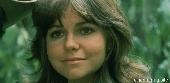 13 Stars from the 1970s Who Are Still Thriving Today