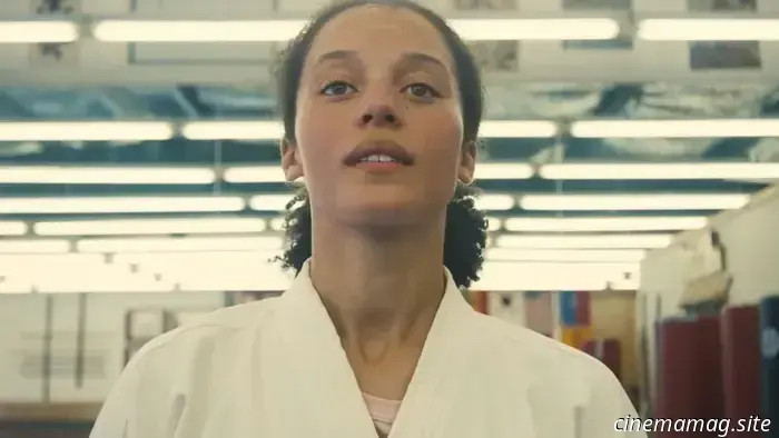 Battles One After Another: A Glossary of Pop Culture