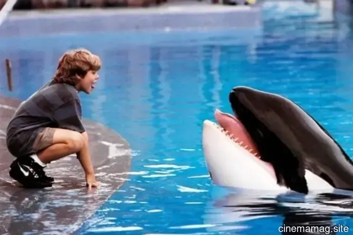 Il reboot di Free Willy emerge alla Warner Bros.