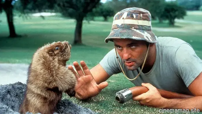 The 12 Most Absurd Movies We've Ever Watched