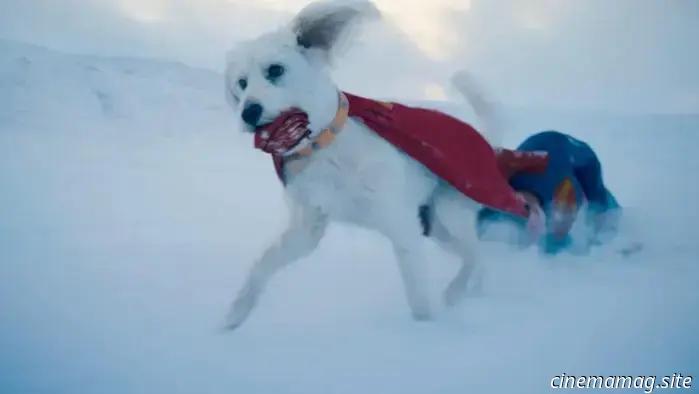 Pantaloncini Krypto per servire come pezzo compagno di Superman di James Gunn