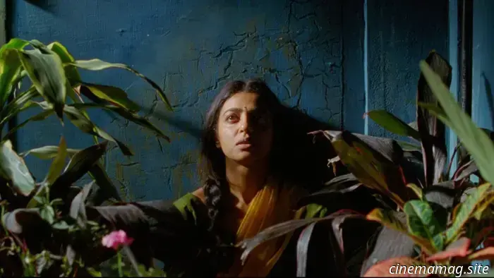 40 Film da vedere quest'estate