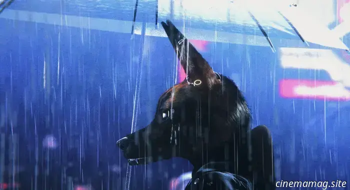 Лучшие фильмы 2026 года, которые мы уже видели