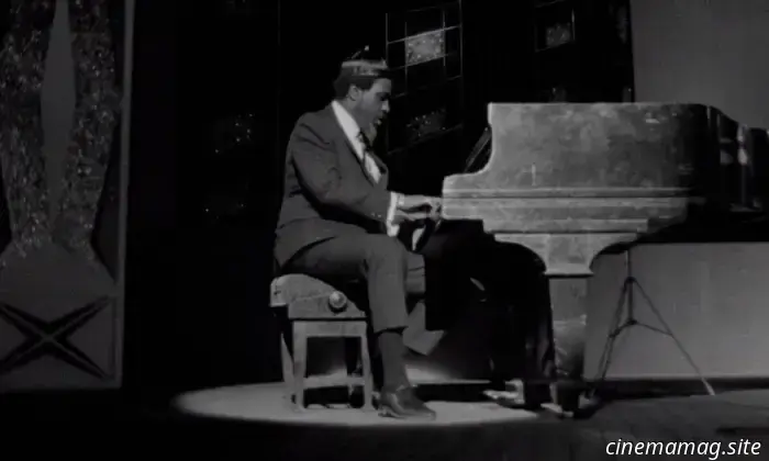 Now Available for Streaming: Materialists, Dangerous Animals, Little Buddha, Northern Lights, and More
