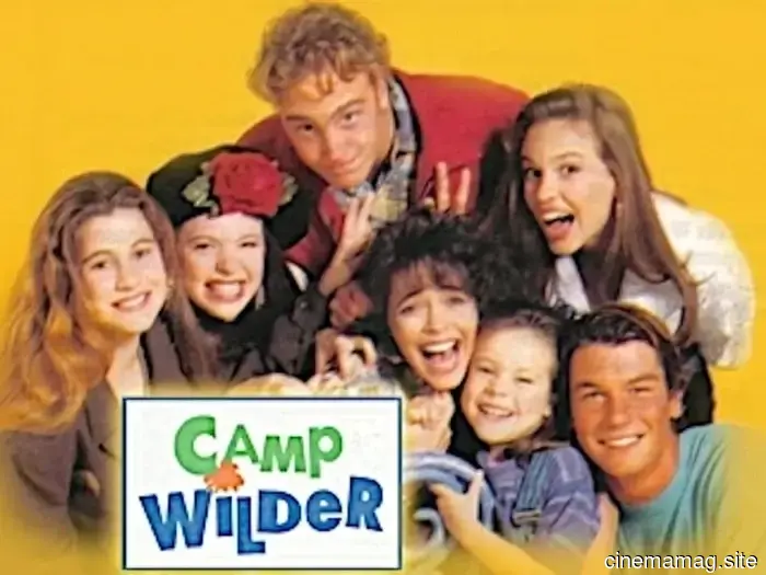 7 Actors Who Achieved Great Fame After Their Series Were Canceled