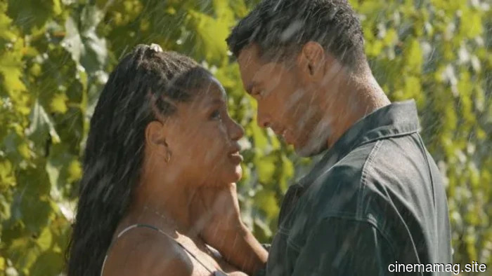 Film Review – You, Me & Tuscany (2026)