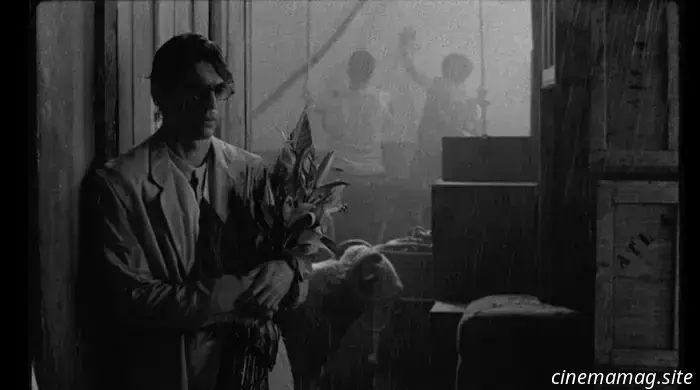 50 лучших фильмов 2025 года по версии The Film Stage