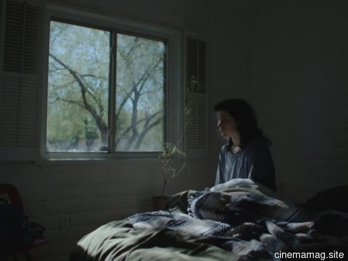 Film Review – I’ve Witnessed Everything I Need to Witness (2025)