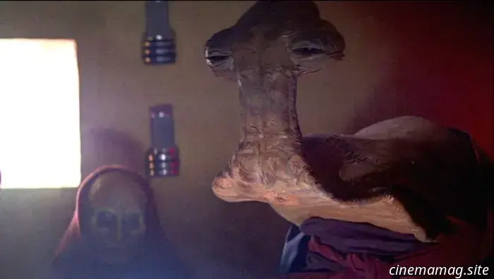 12 Lesser Star Wars Characters, Ordered From Least to Most Significant