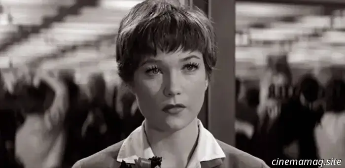 11 Icons of the 1960s Who Are Still Thriving Today