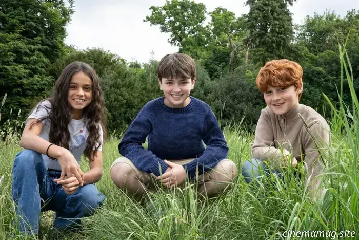 HBO's Harry Potter television series has announced its new cast members for Harry, Ron, and Hermione.