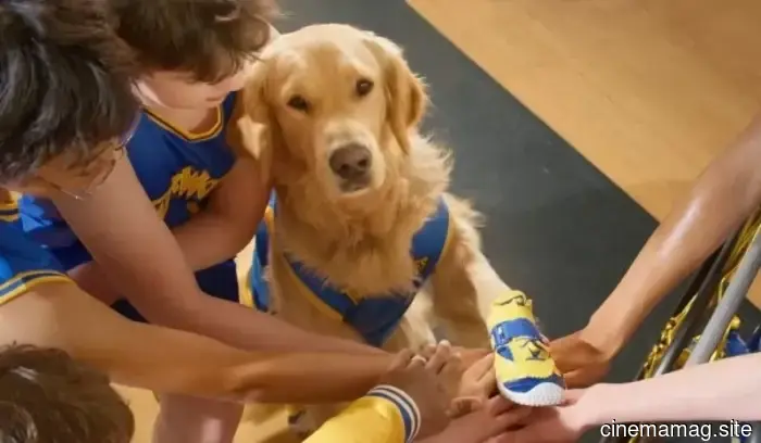 Air Bud è tornato in campo nel trailer di Air Bud Returns