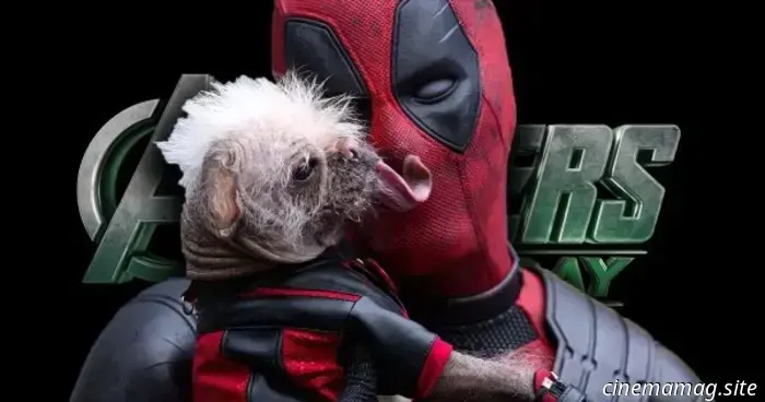 It has been reported that Ryan Reynolds' Deadpool has been confirmed for Avengers: Doomsday.