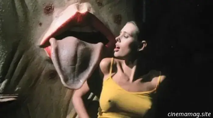 Películas de culto alocadas de los años 80 que quizá te hayas perdido