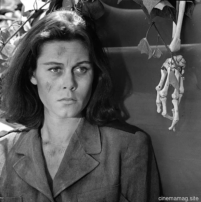 In the new document, Rod Serling describes from beyond the grave how we found ourselves residing in The Twilight Zone.