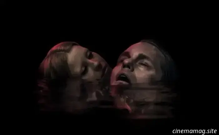 10 Películas de Terror de Culto Locas Que Necesitas Ver