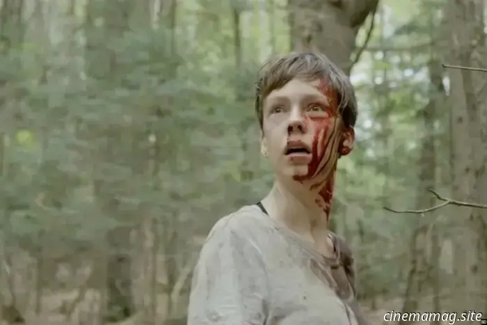 6 Cabin Horror Films You Might Have Overlooked