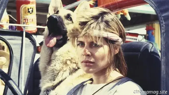 12 Clever Films That Appear to Be Silly Movies
