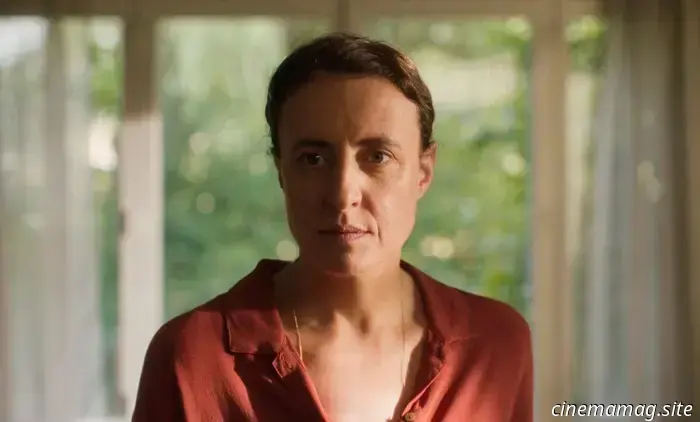 Novità in streaming: Frankenstein, The Smashing Machine, The Sparrow in the Chimney, Boys Go to Jupiter e altro