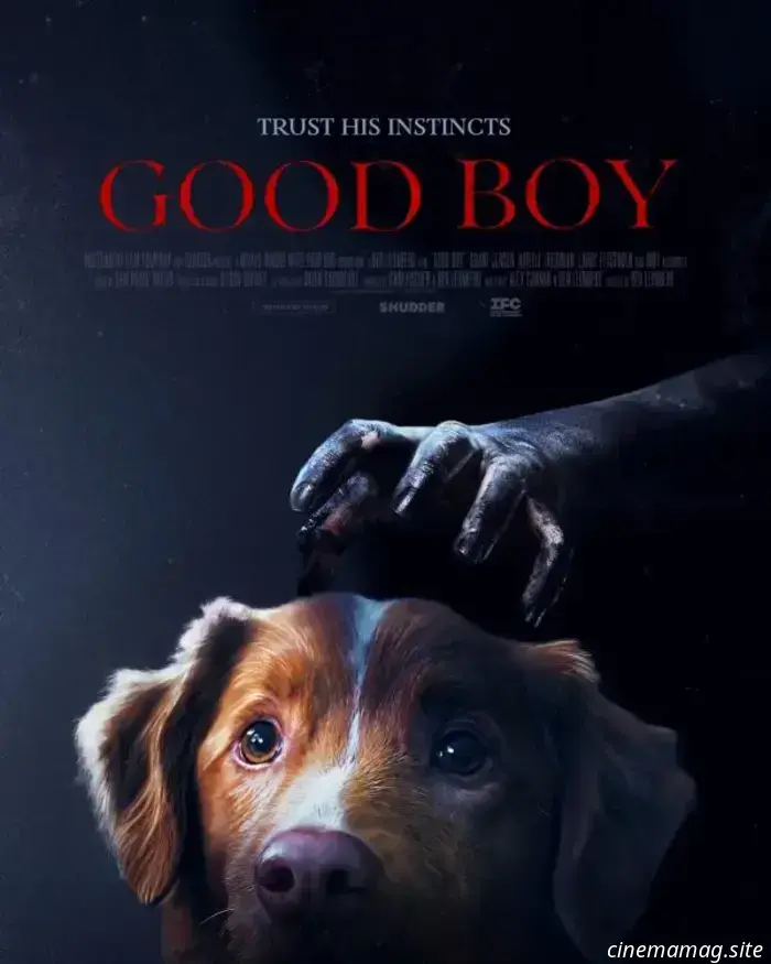 Il chiller con protagonista un cane, Good Boy, ha un nuovo trailer