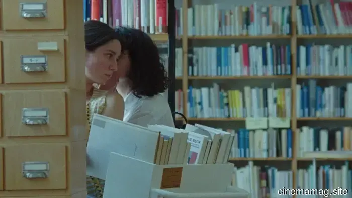 Exclusive Trailer for William Wrubel’s When We Saw Each Other More Often Introduces a Fresh Perspective
