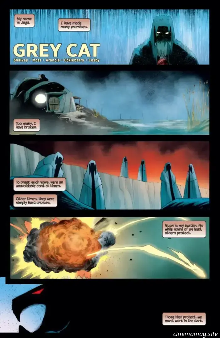 Anteprima del fumetto – ThunderCats n. 22