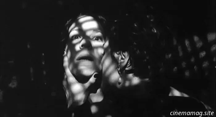 7 Excellent Vampire Films You Might Have Overlooked