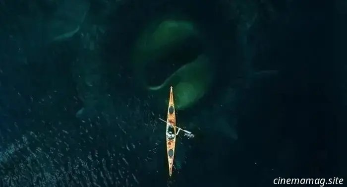 Il film di mostri "Kraken" svela il trailer e il poster.