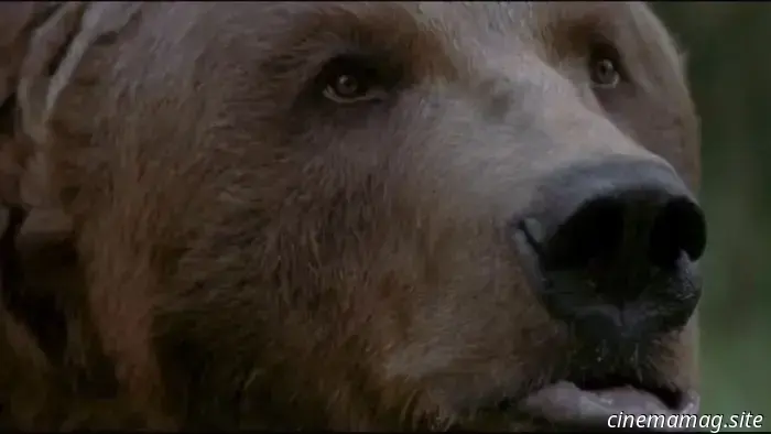 13 смертоносных фильмов о животных, в которых использовали настоящих живых животных